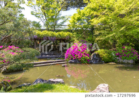 城南區 - 杜鵑花·紫藤 17297696