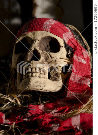 scary skull head 17299699