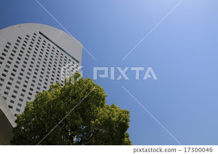 Scenery of Yokohama 17300046