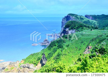 Shingon Cape 17300475