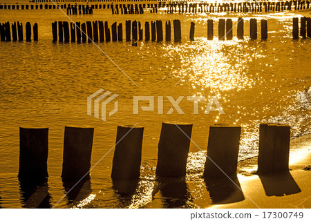 Sunrise over the Baltic Sea with groins Sunrise over the Baltic Sea with groins 17300749