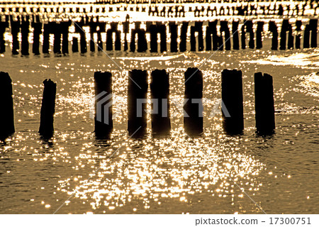 Sunrise over the Baltic Sea with groins Sunrise over the Baltic Sea with groins 17300751