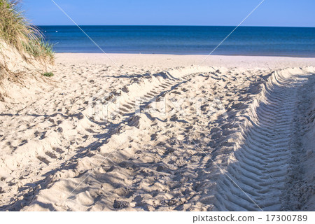 Beach with tracks Beach with tracks 17300789