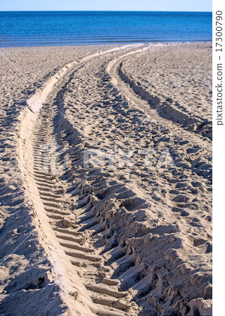 Beach with tracks Beach with tracks 17300790