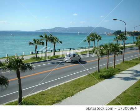 58號國道 58號國道 17300964