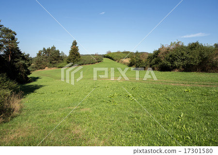 summer rural summer landscape summer rural summer landscape 17301580