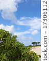 Okinawa's landscape sand beach 17306112