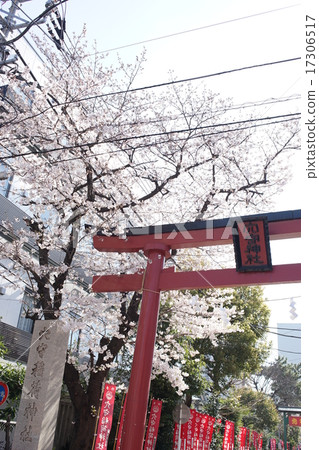 稻盛稻荷大社 17306517