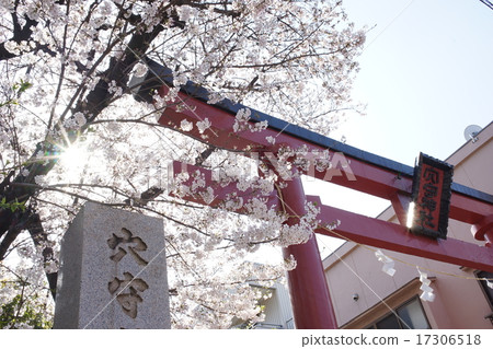 稻盛稻荷大社 17306518