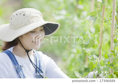 Agriculture girls 17306889