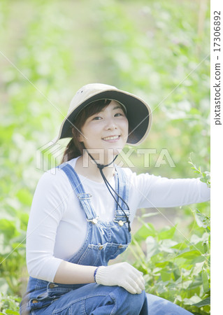 Agriculture girls 17306892