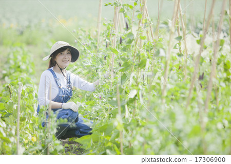 Agriculture girls 17306900