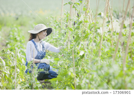 Agriculture girls Agriculture girls 17306901