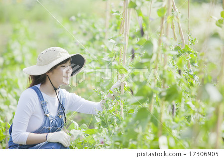 Agriculture girls 17306905