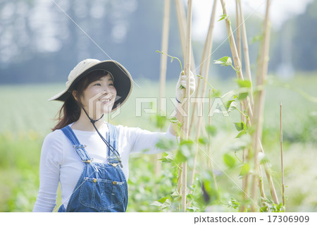 Agriculture girls 17306909