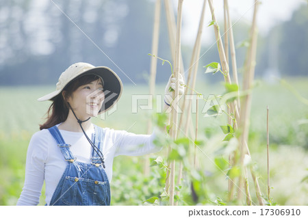 Agriculture girls 17306910