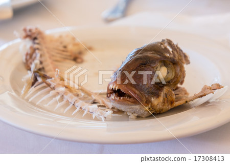 eaten fish with head and tail - symbol of misery eaten fish with head and tail - symbol of misery 17308413
