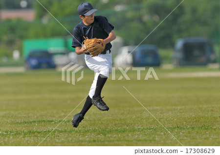 Baseball Jump Throw 17308629