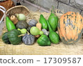 Jindai Botanical Park Autumn Harvest 17309587
