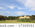 Autumn sky and white-tailed pear and pampas grass 17309591