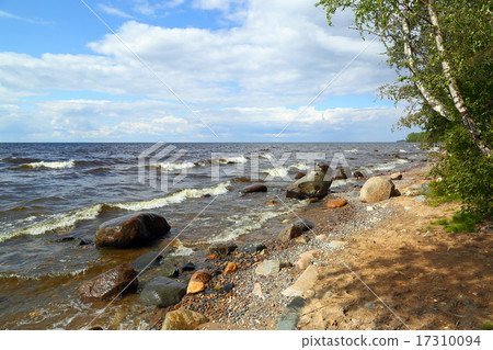 Shore of Lake Onega Shore of Lake Onega 17310094