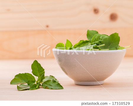 Alternative medicine fresh holy basil leaves  17310529