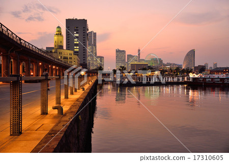 Around the nose park of an elephant that stains in madder color 17310605