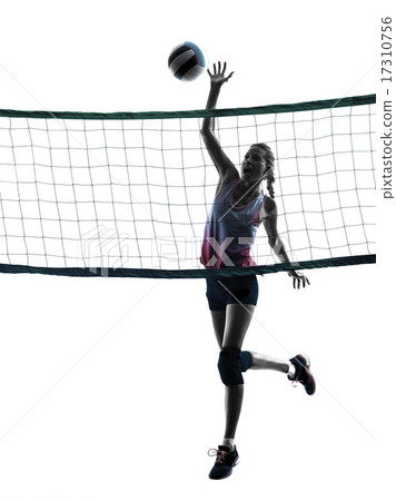 woman volleyball players isolated silhouette woman volleyball players isolated silhouette 17310756