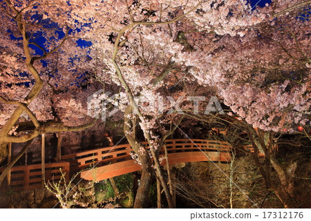Takataka Castle Ruins at night 17312176
