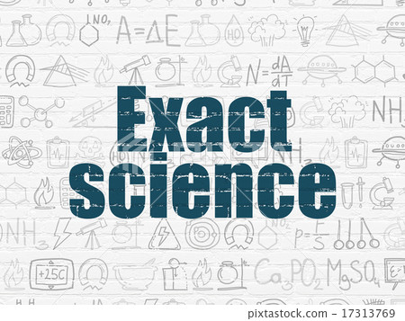 Science concept: Exact Science on wall background Science concept: Exact Science on wall background 17313769