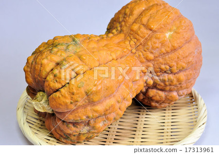 Kagaya南瓜 Kagaya南瓜 17313961