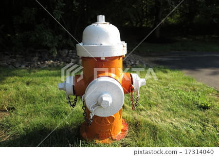 美國消防栓 17314040