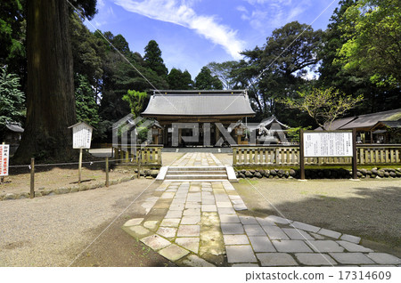 Nogano Shrine 17314609