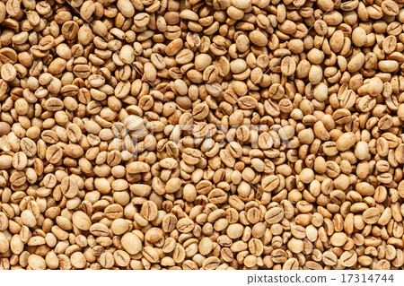 Kopi Luwak or civet coffee Kopi Luwak or civet coffee 17314744