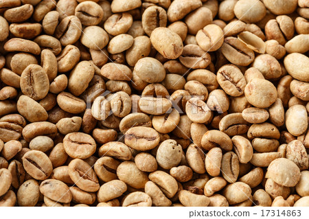 Kopi Luwak or civet coffee Kopi Luwak or civet coffee 17314863