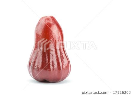Rose apple on white background Rose apple on white background 17316203