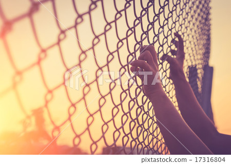 Hand holding on chain link fence Hand holding on chain link fence 17316804