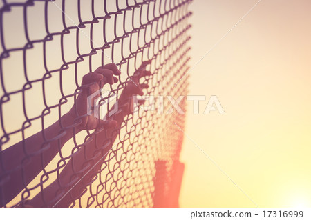 Hand holding on chain link fence Hand holding on chain link fence 17316999