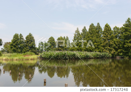 水邊的原始景觀 水邊的原始景觀 17317248