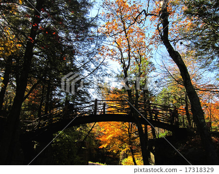 Pocono山谷，賓夕法尼亞和人行橫道的葉子 17318329