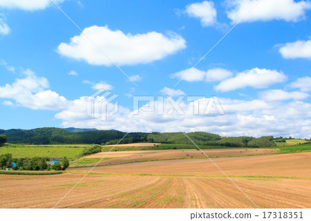 北海道美瑛山 北海道美瑛山 17318351