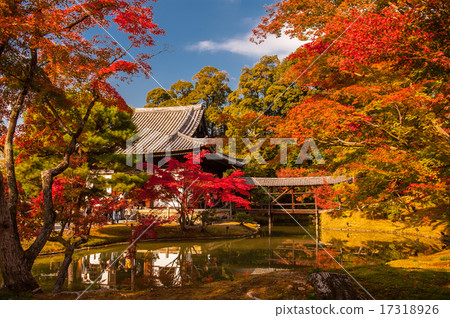 Kodaiji寺廟秋葉和池塘 Kodaiji寺廟秋葉和池塘 17318926