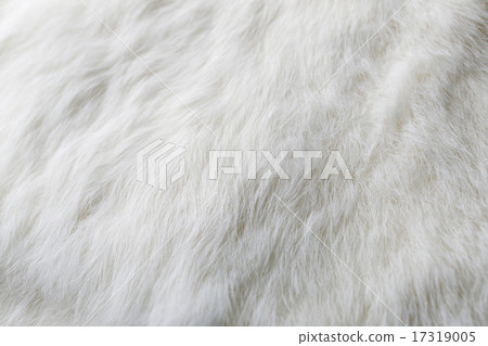 Fur 17319005
