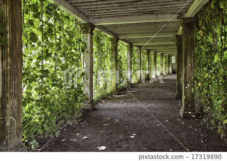 colonnade with the old columns covered with ivy colonnade with the old columns covered with ivy 17319890