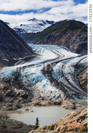 Salmon glacier 17321910
