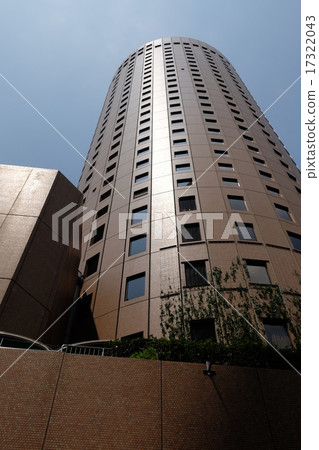 Osaka Marvelville 17322043