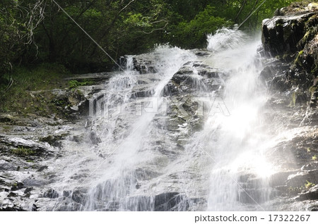 Shelf under the fall of Nishitanzawa Shelf under the fall of Nishitanzawa 17322267