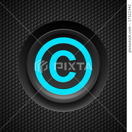 Copyright protection Copyright protection 17322342