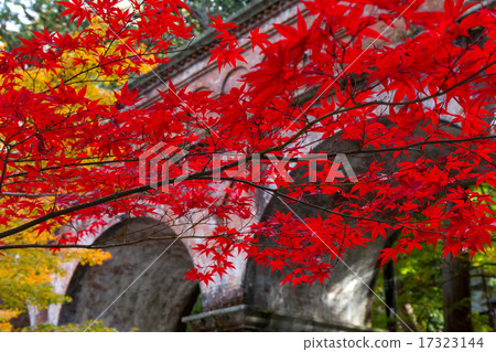 南禪寺 - 渡槽 17323144