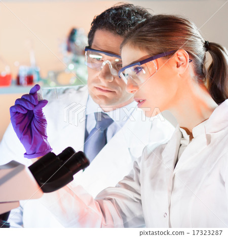 Life scientist researching in the laboratory. Life scientist researching in the laboratory. 17323287
